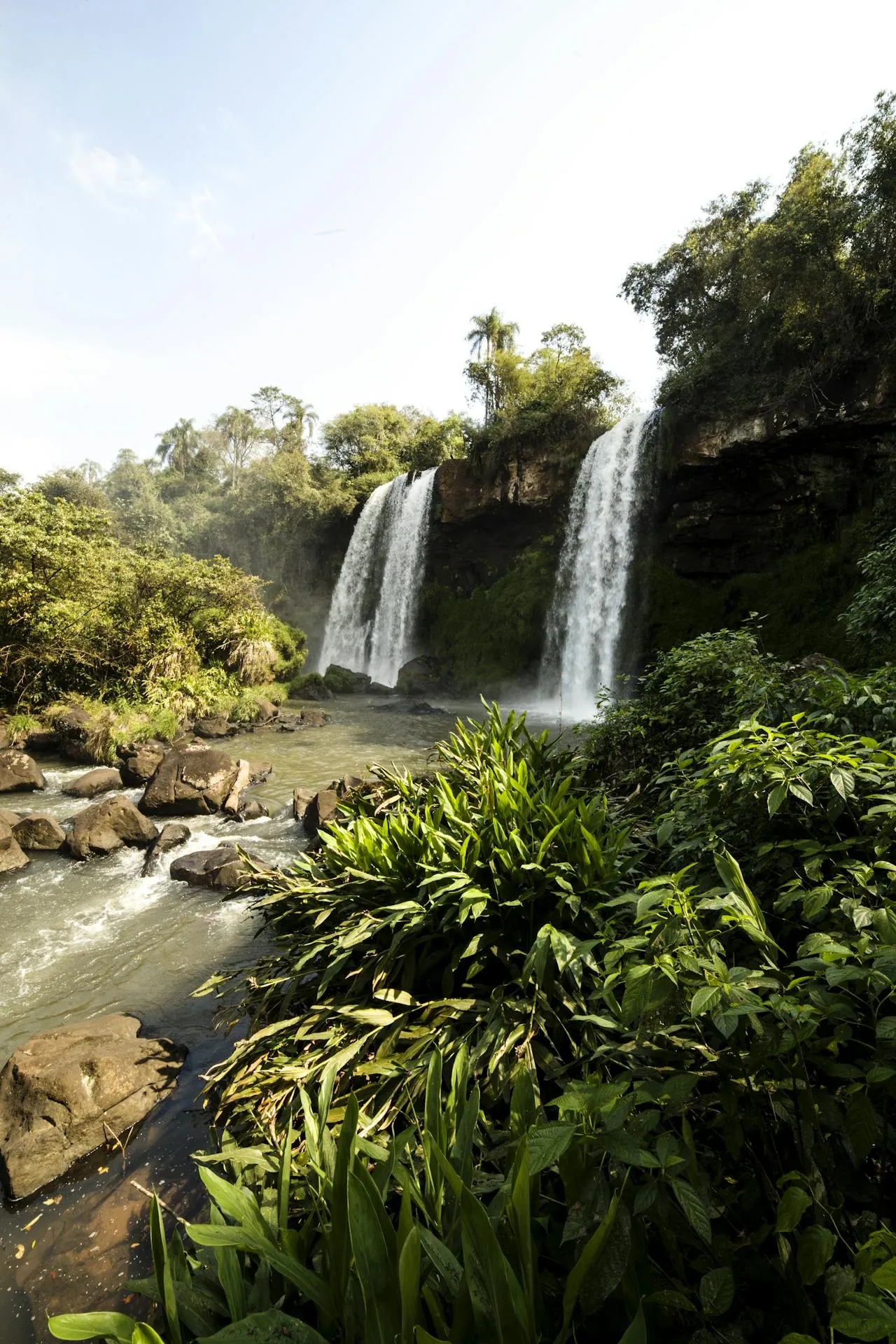 Iguazú Falls (Cataratas del Iguazú) 6