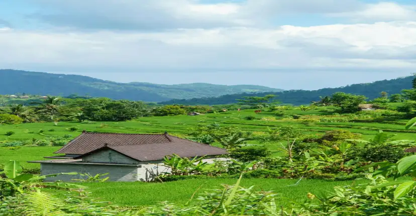 Ubud Bali