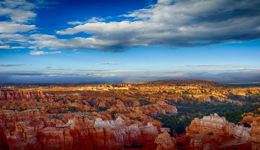 Guided Arizona Desert Tour by ATV Tour 8