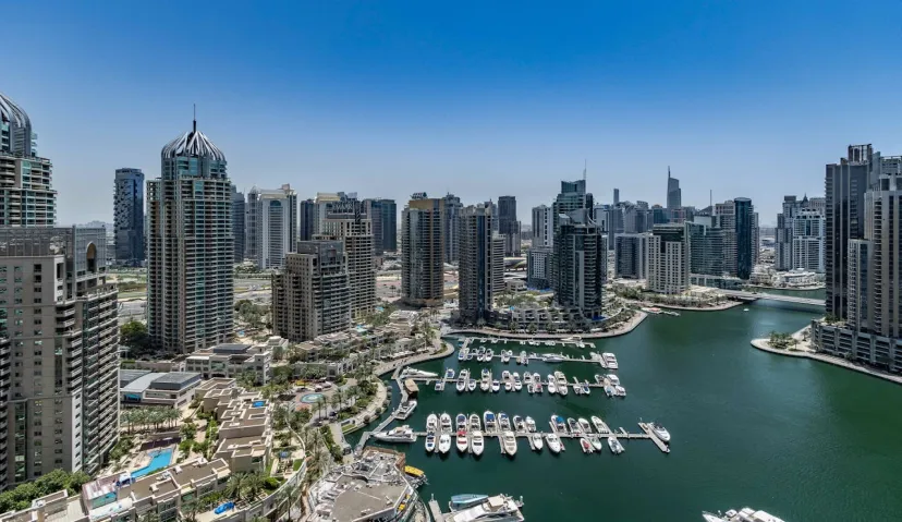 Cruise Ship Tour in Arab Sea : The Greater Experience 3
