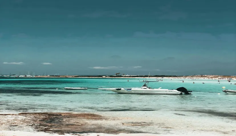Ibiza Highlights: Ultimate Shore Excursion 4