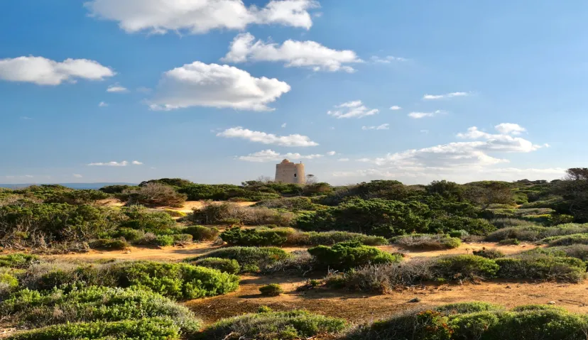 Ibiza : the most beautiful places for tour 4