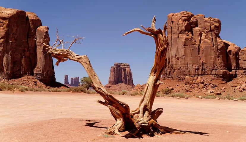 Guided Arizona Desert Tour by ATV Tour 3