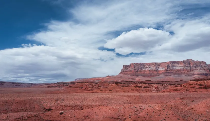 Guided Arizona Desert Tour by ATV Tour 6
