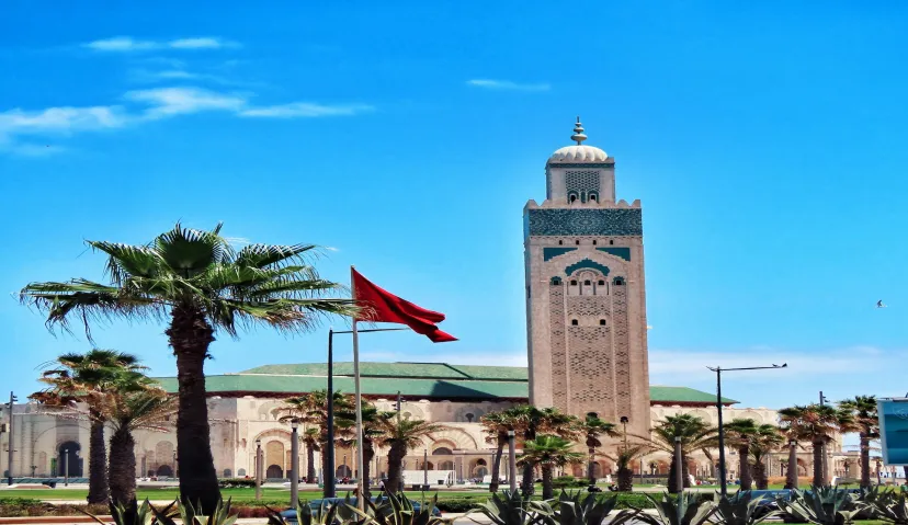 Private Tour of Casablanca  II Mosque Entry Ticket 5