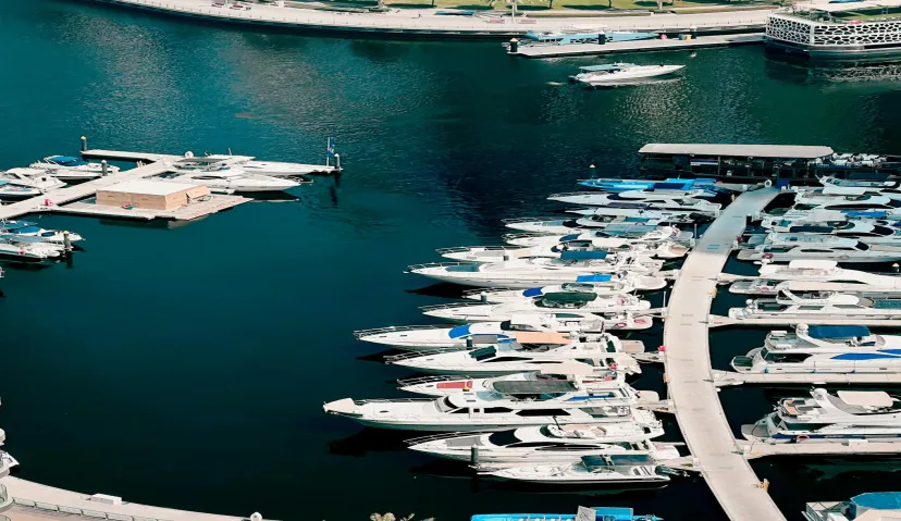 Dubai Luxury Yacht Tour with Live BBQ &amp; Drinks 5