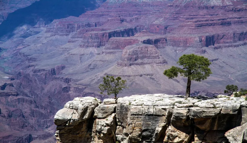 Guided Arizona Desert Tour by ATV Tour 7