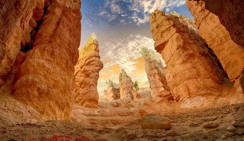 Guided Arizona Desert Tour by ATV Tour 4